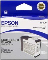 Original Epson C13T580900 T5809 Tintenpatrone schwarz hell hell (ca. 80 ml)