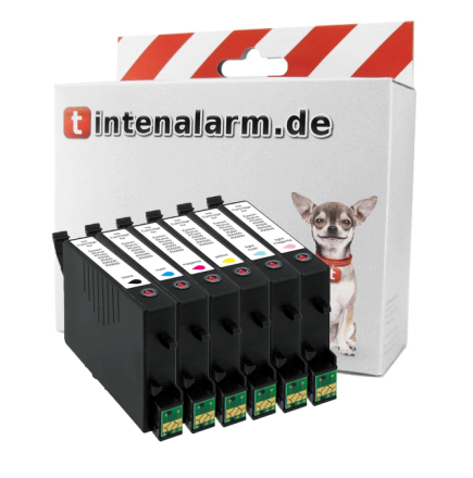 6 XL Druckerpatronen von tintenalarm.de ersetzt Epson T0487, C13T04874010