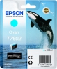  Original Epson C13T76024010 T7602 Tintenpatrone cyan (ca. 2.200 Seiten) 