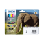  Original Epson 24 C 13 T 24284011 Tintenpatrone MultiPack Bk,C,M,Y,LC,LM (ca. 360 Seiten) 