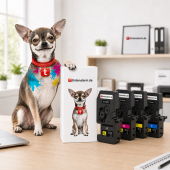  4 Toner von tintenalarm.de ersetzt Kyocera TK-5450K, TK-5450C, TK-5450M, TK-5450Y 