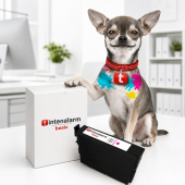  XL Druckerpatrone Basic kompatibel ersetzt Epson 16 XL, T1633 magenta (ca. 450 Seiten) 
