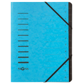  PAGNA Ordnungsmappe 12 Fächer hellblau, 1 Stück 