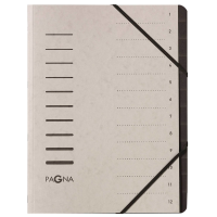 PAGNA Ordnungsmappe 12 Fächer grau, 1 Stück