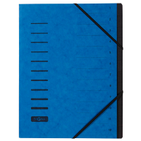 PAGNA Ordnungsmappe 12 Fächer blau, 1 Stück