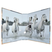  HERMA Motivordner Pferde 7,0 cm DIN A4, 1 Stück 