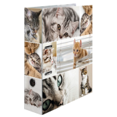  HERMA Motivordner Katzen 7,0 cm DIN A4, 1 Stück 