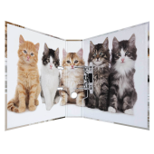  HERMA Motivordner Katzen 7,0 cm DIN A4, 1 Stück 