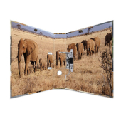  HERMA Motivordner Afrika Tiere 7,0 cm DIN A4, 1 Stück 