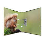  HERMA Motivordner Waldtiere 7,0 cm DIN A4, 1 Stück 