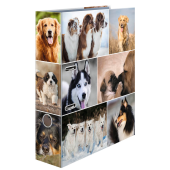 HERMA Motivordner Hunde 7,0 cm DIN A4, 1 Stück 