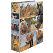  HERMA Motivordner Afrika Tiere 7,0 cm DIN A4, 1 Stück 