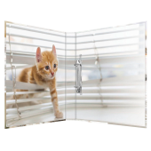  HERMA Animals Katzen Ringbuch 2-Ringe Motiv 3,5 cm DIN A4, 1 Stück 