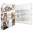  HERMA Animals Katzen Ringbuch 2-Ringe Motiv 3,5 cm DIN A4, 1 Stück 