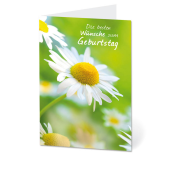  LUMA Geburtstagskarte Margerite DIN B6 