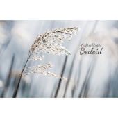  LUMA Trauerkarte Grashalm DIN B6 