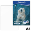  Pelikan Zeichenblock Zoo DIN A3 100 g/qm, 10 Blatt, 1 Block, Motiv nicht wählbar 