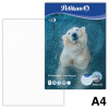  Pelikan Zeichenblock Zoo DIN A4 100 g/qm, 20 Blatt, 1 Block, Motiv nicht wählbar 