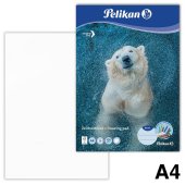  Pelikan Zeichenblock Zoo DIN A4 100 g/qm, 20 Blatt, 1 Block, Motiv nicht wählbar 