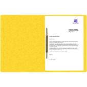  OXFORD Schnellhefter TOP FILE+ Karton gelb DIN A4, 1 Stück 