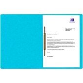  OXFORD Schnellhefter TOP FILE+ Karton hellblau DIN A4, 1 Stück 