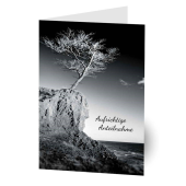  LUMA Trauerkarte Baum/Klippe DIN B6 