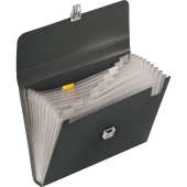  BRUNNEN Fächermappe FACT!pp 10 Fächer schwarz-grau, 1 Stück 