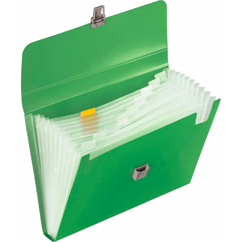  BRUNNEN Fächermappe FACT!pp 10 Fächer grün, 1 Stück 