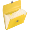 BRUNNEN Fächermappe FACT!pp 10 Fächer gelb, 1 Stück 