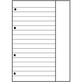  OXFORD Ringbucheinlage A4 liniert Lineatur 25, 50 Blätter 