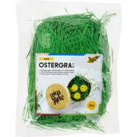 folia Ostergras Dekogras, grün, 1 Beutel