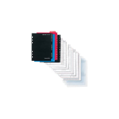  Ringbuch Ergänzungsset Manager Plus von Bind, DIN A5, sortiert 