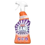 CILLIT BANG EXPERT KALK & SCHMUTZ Kraftreiniger 0,75 l - Biozidprodukt