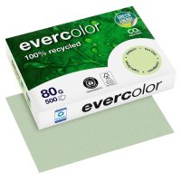 farbiges Kopierpapier Recyclingpapier Evercolor von Clairefontaine, DIN A4, 80 g/m², 500 Blatt, hellgrün
